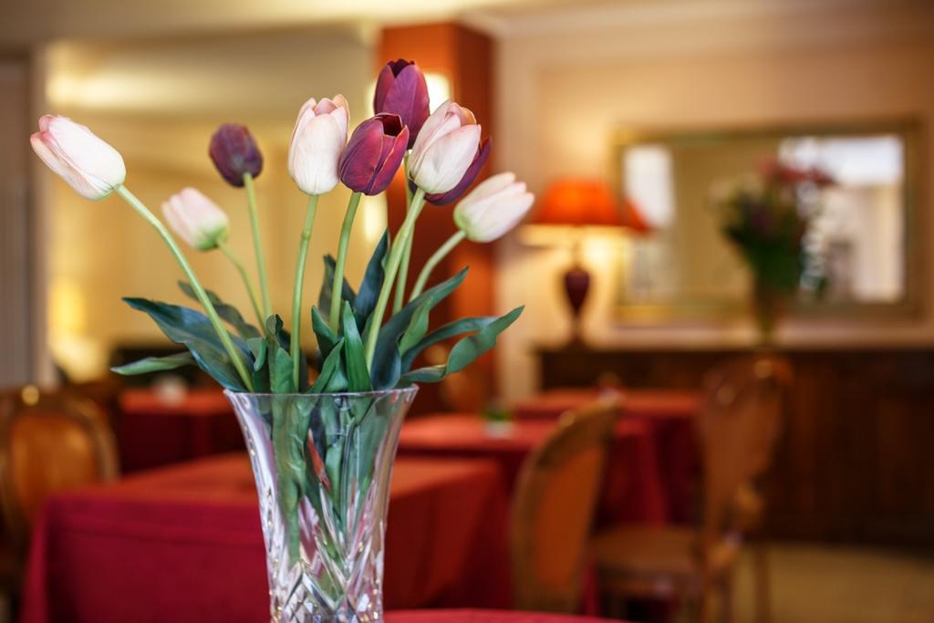 Hotel Daniel Basiano エクステリア 写真